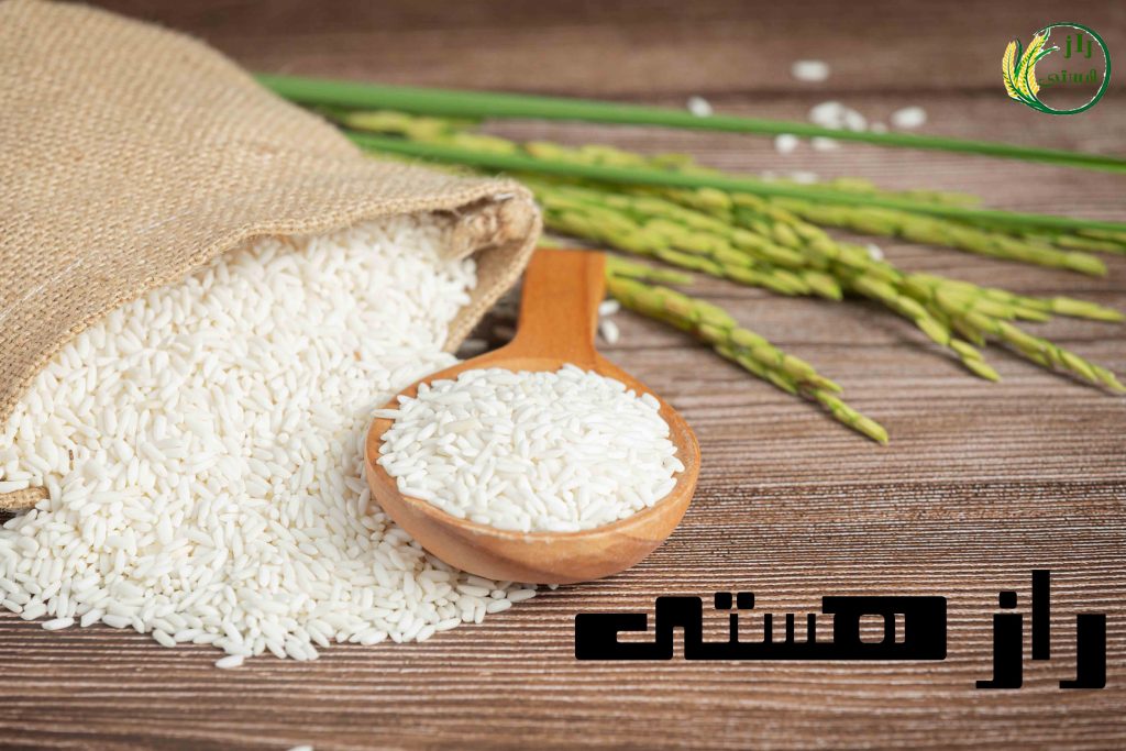 a sack of rice with rice on wooden spoon and rice plant